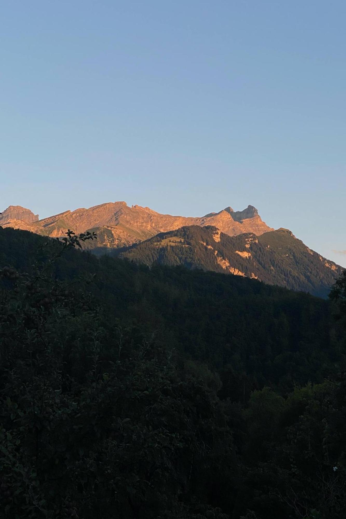 Vila La Petite Grange Villars-sur-Ollon Exteriér fotografie
