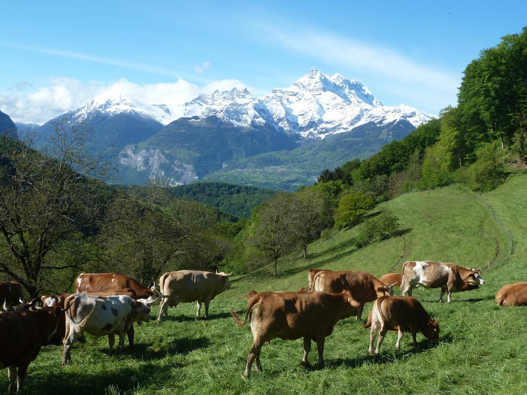Vila La Petite Grange Villars-sur-Ollon Exteriér fotografie
