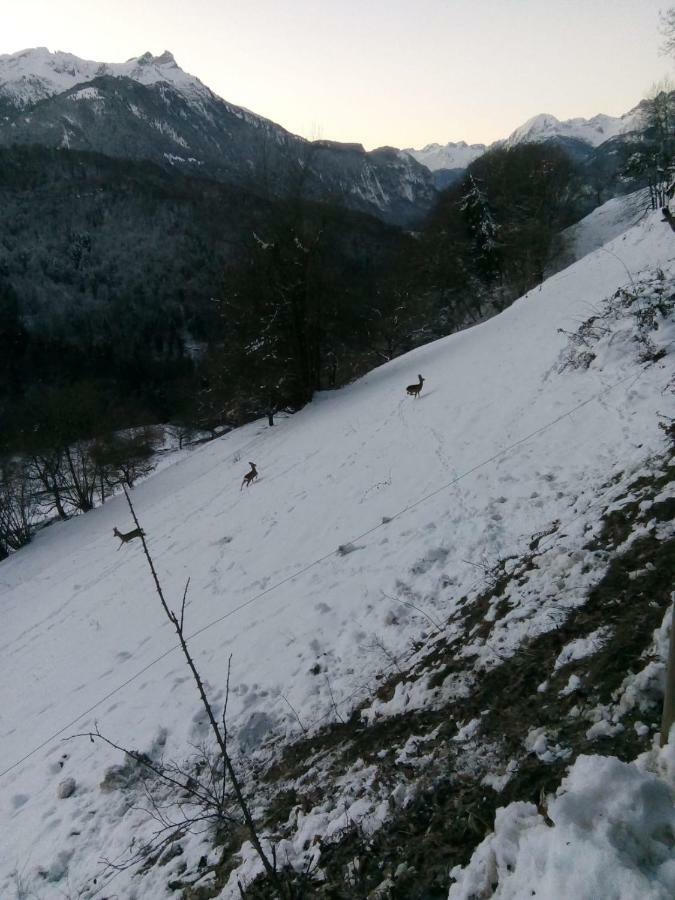 Vila La Petite Grange Villars-sur-Ollon Exteriér fotografie
